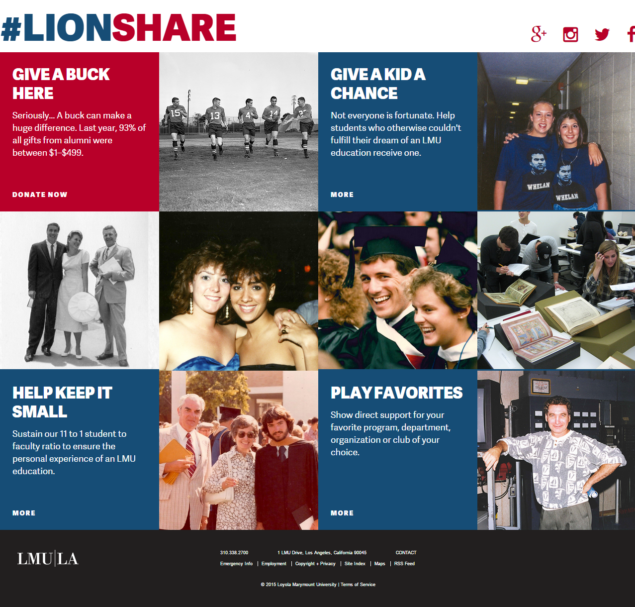 lionshare